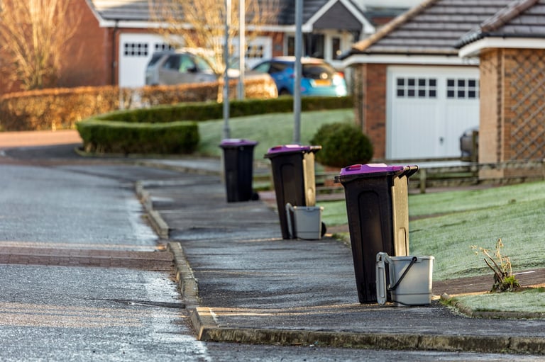 Clean purple lid recycling bins